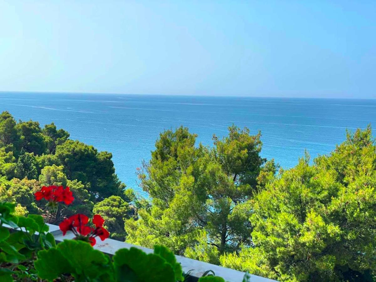 Hotel  ALBATROS  Ulcinj Exterior foto
