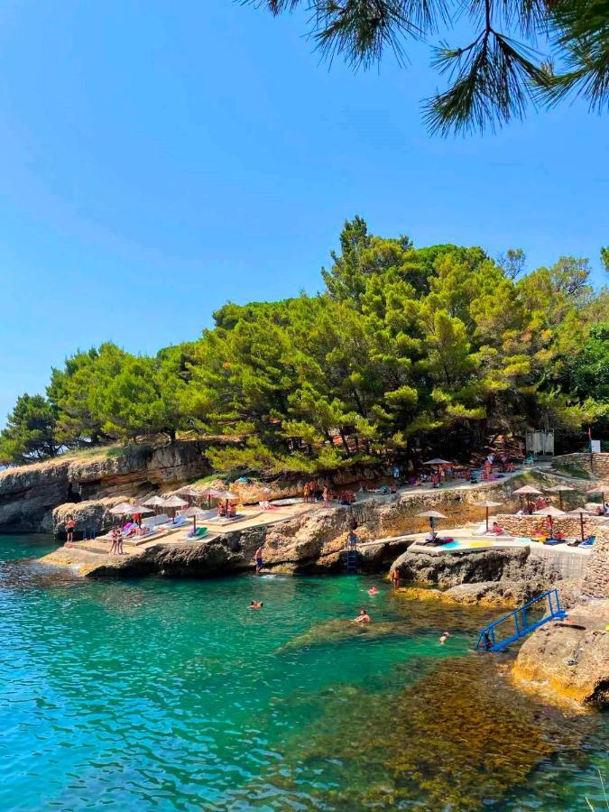 Hotel  ALBATROS  Ulcinj Exterior foto